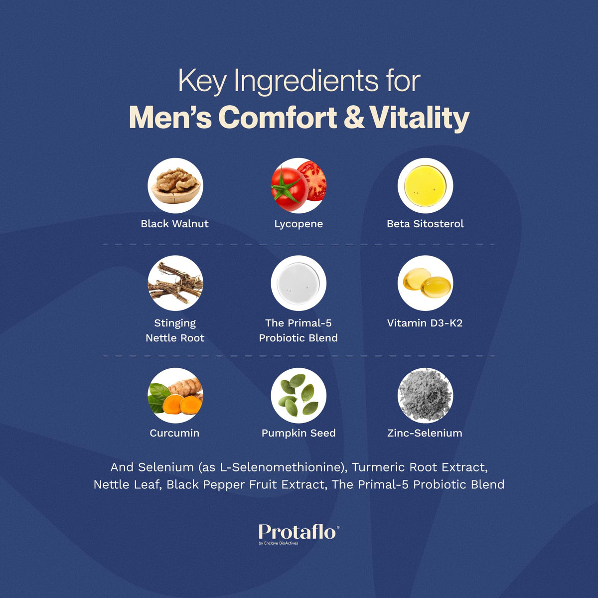 Prostate Support for Men