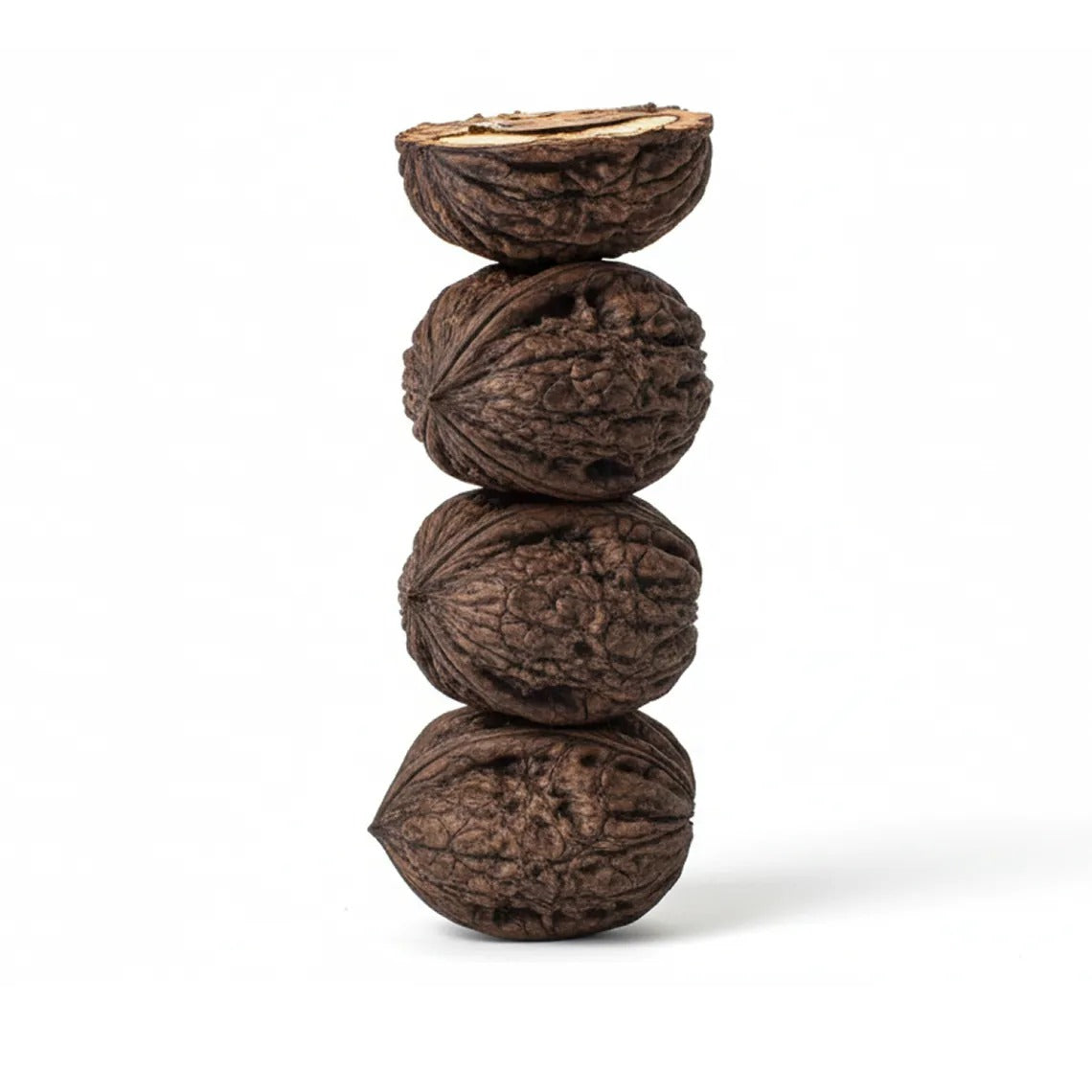 Black Walnut